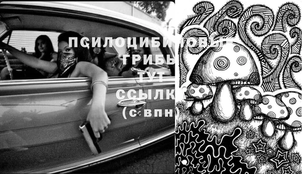 мяу мяу мука Майский