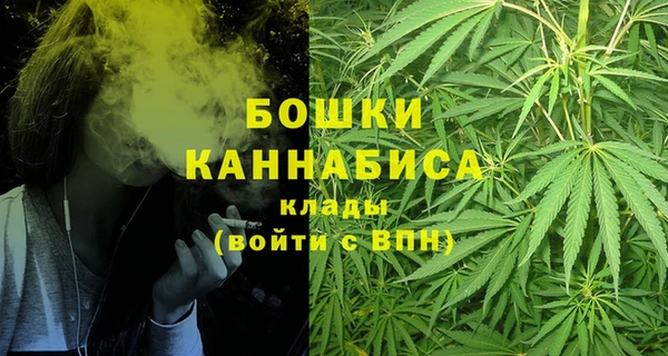 мяу мяу мука Магадан