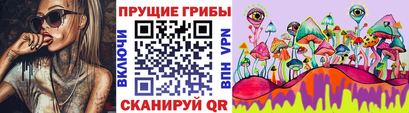 Галлюциногенные грибы Psilocybine cubensis  Купить где  Елизово 